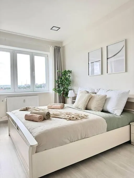 Spacious Apt Near Prague Castle Apartment